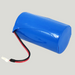 LoRa / LoRaWAN Battery 3,6 VD type 19000 mAH